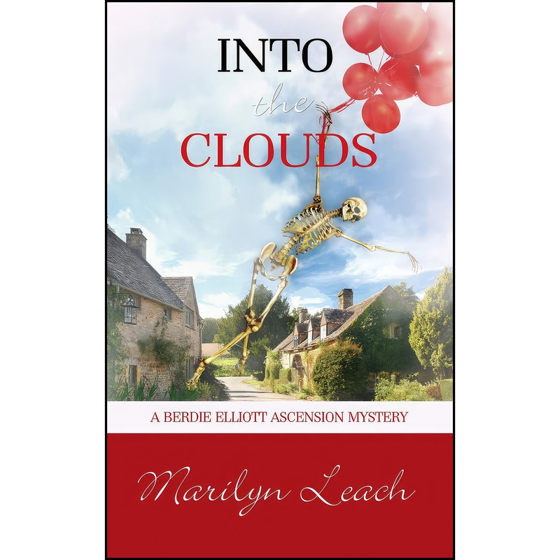 کتاب Into the Clouds  اثر Marilyn Leach انتشارات تازه ها