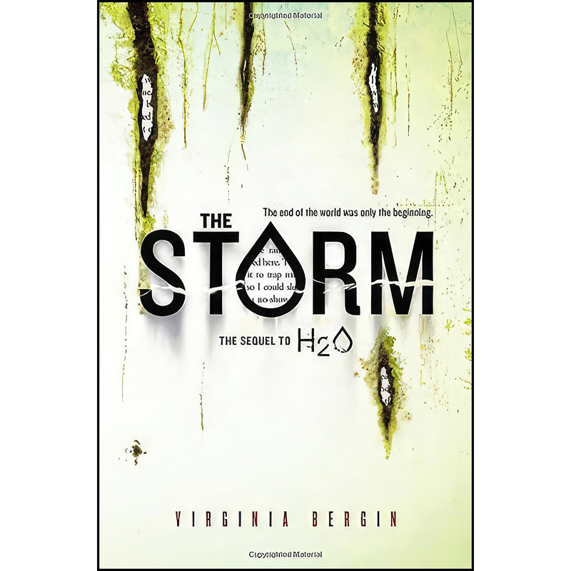 کتاب The Storm اثر Virginia Bergin انتشارات Sourcebooks Fire