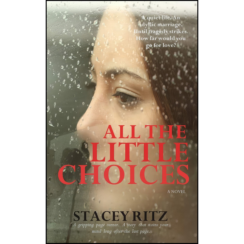 کتاب All the Little Choices اثر Stacey Ritz انتشارات تازه ها