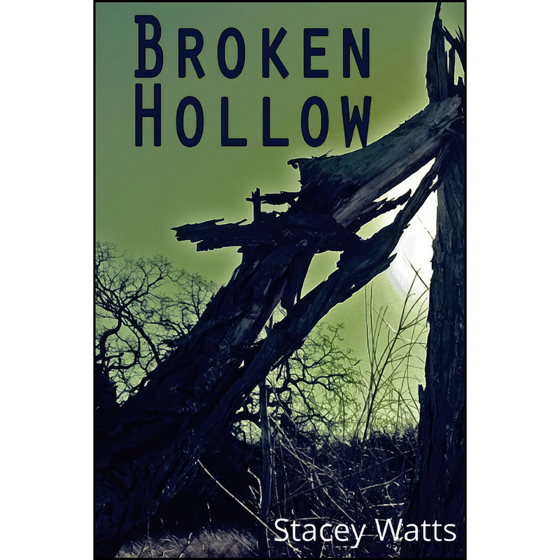 کتاب Broken Hollow اثر Stacey Watts انتشارات تازه ها