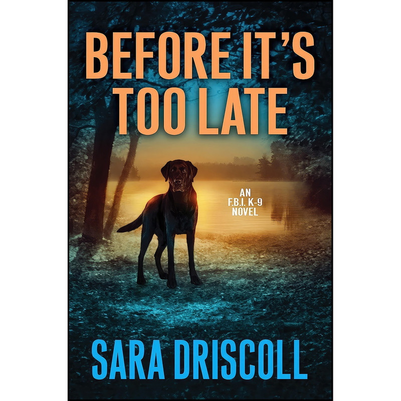 کتاب Before Its Too Late  اثر Ann Vanderlaan and Jen J. Danna انتشارات Kensington