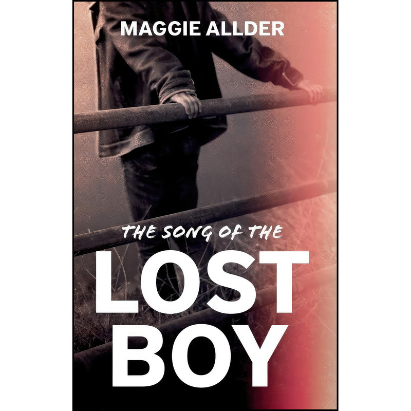کتاب The Song of the Lost Boy اثر Maggie Allder انتشارات Troubador Publishing Ltd