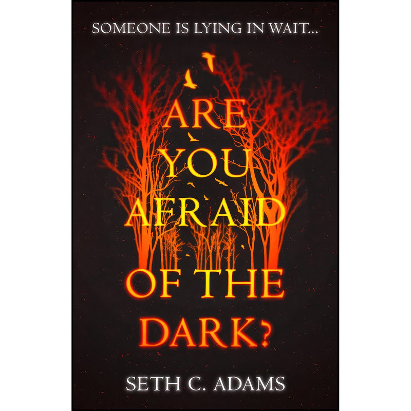 کتاب Are You Afraid of the Dark? اثر Seth C. Adams انتشارات Killer Reads