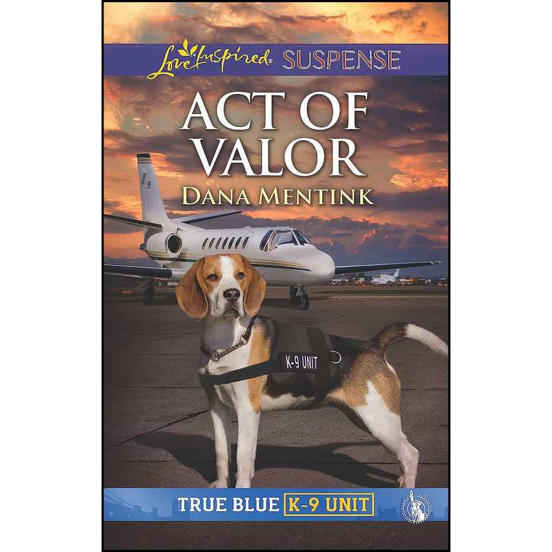 کتاب Act of Valor  اثر Dana Mentink انتشارات Love Inspired Suspense