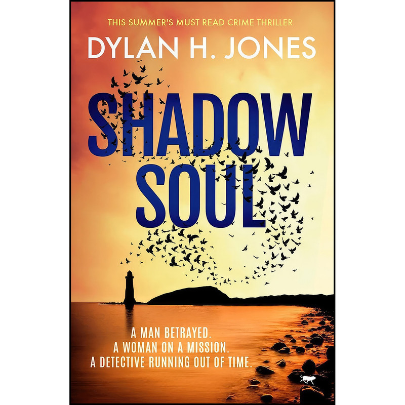 کتاب Shadow Soul اثر Dylan H. Jones انتشارات تازه ها