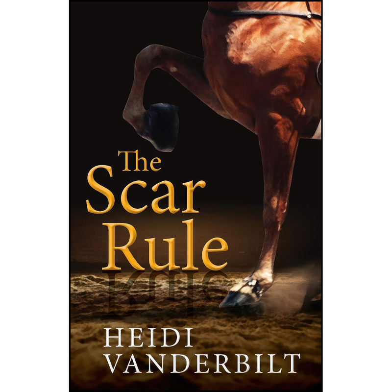 کتاب The Scar Rule اثر Heidi Vanderbilt انتشارات تازه ها