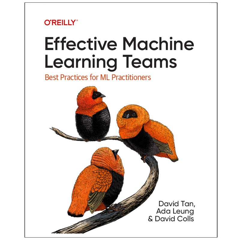 کتاب Effective Machine Learning Teams اثر جمعی از نویسندگان انتشارات رایان کاویان