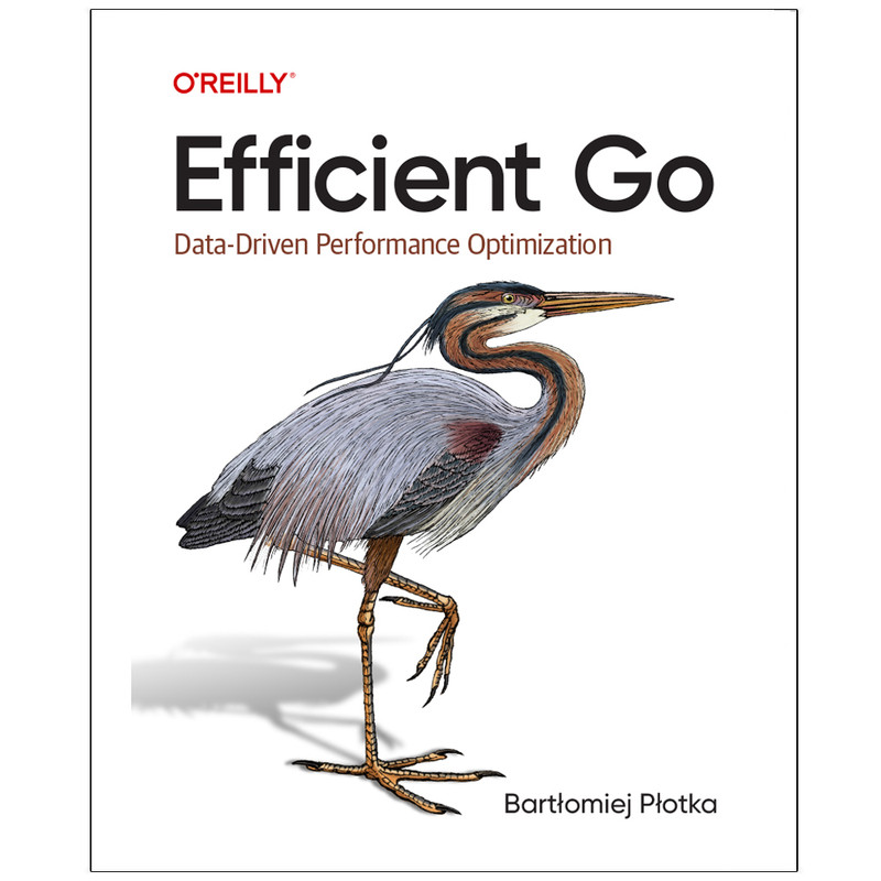 کتاب Efficient Go Data-Driven Performance Optimizations اثر Bartłomiej Płotka انتشارات رایان کاویان