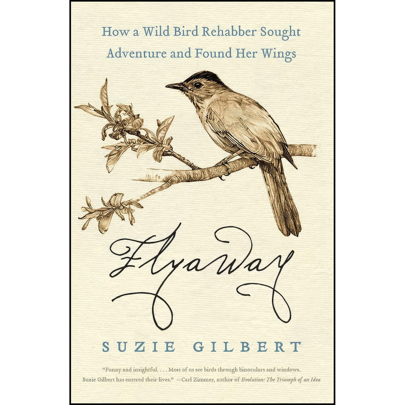 کتاب Flyaway اثر Suzie Gilbert انتشارات تازه ها