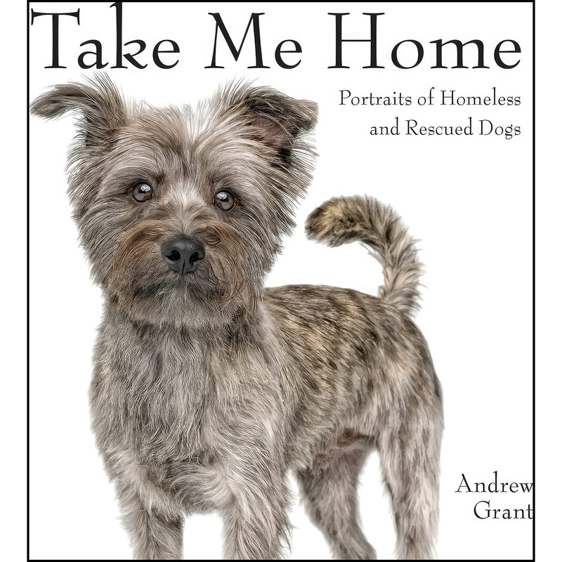 کتاب Take Me Home اثر Editors of Firefly Books انتشارات Firefly Books