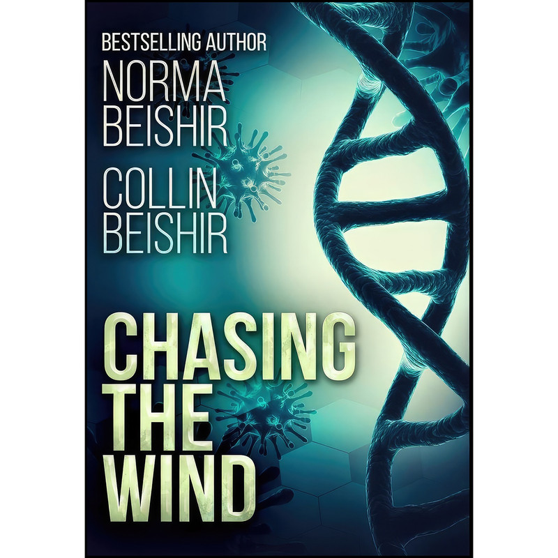 کتاب Chasing the Wind اثر Norma Beishir انتشارات Blurb