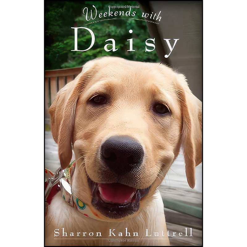 کتاب Weekends with Daisy اثر Sharron Kahn Luttrell انتشارات Gallery Books