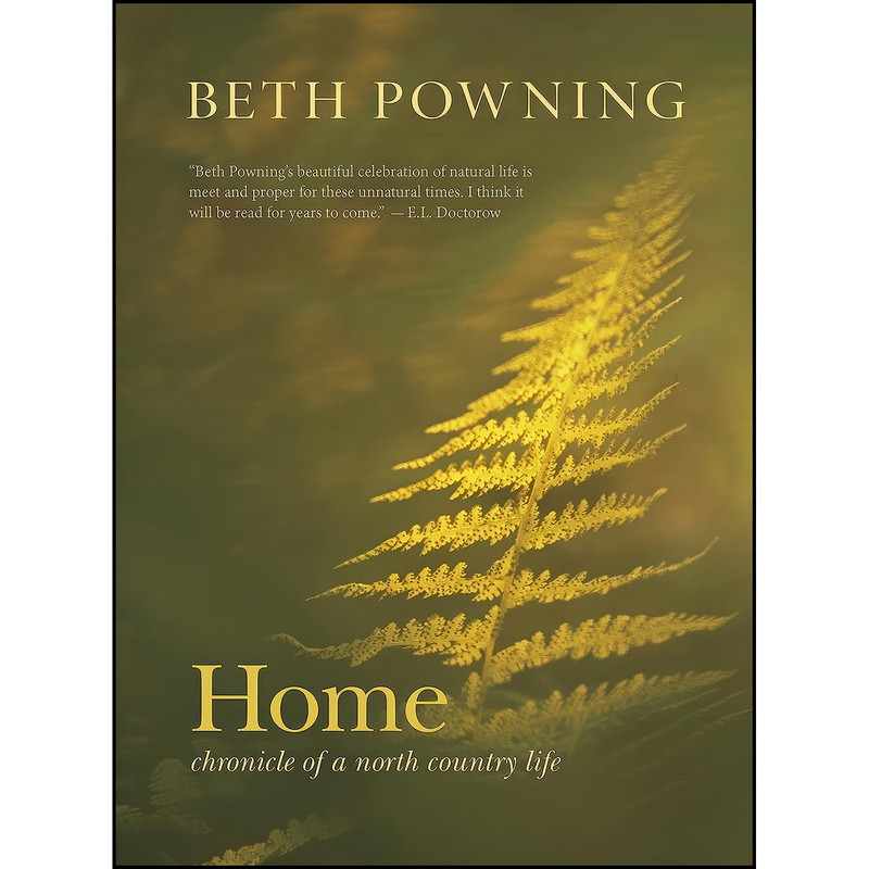 کتاب Home اثر Beth Powning انتشارات Goose Lane Editions