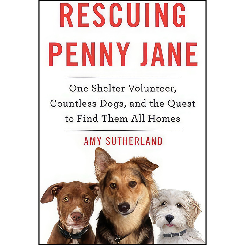 کتاب Rescuing Penny Jane اثر Amy Sutherland انتشارات Harper