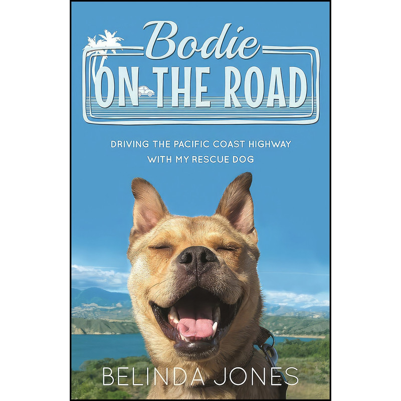 کتاب Bodie on the Road اثر Belinda Jones انتشارات Summersdale