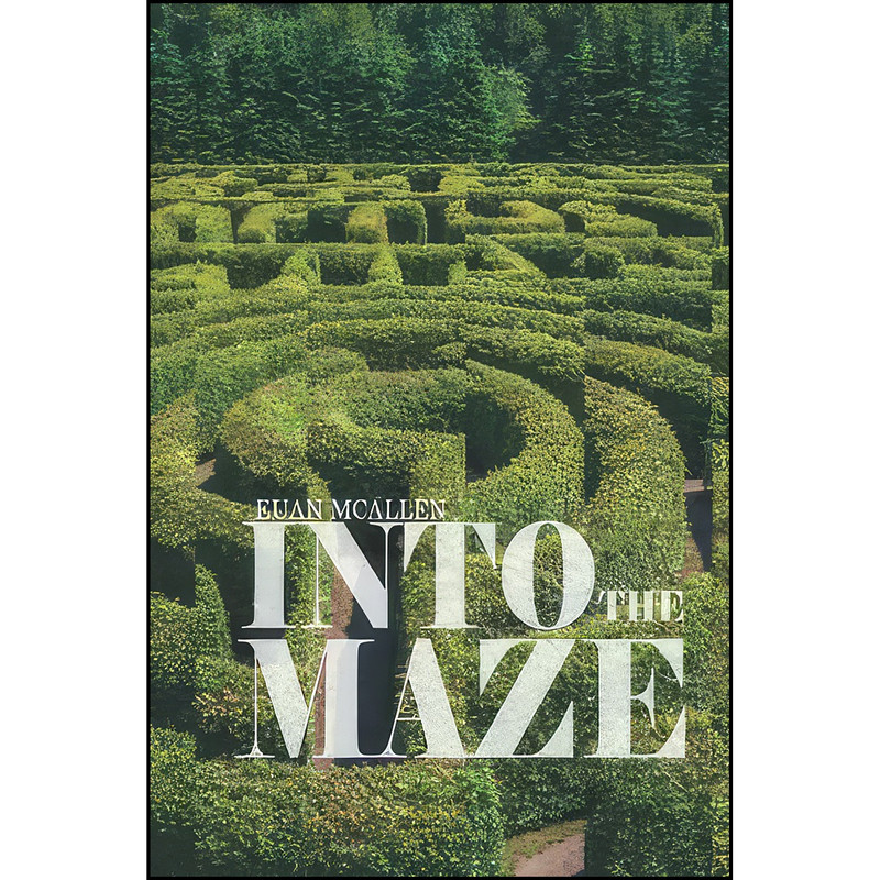 کتاب Into the Maze اثر Euan McAllen انتشارات تازه ها