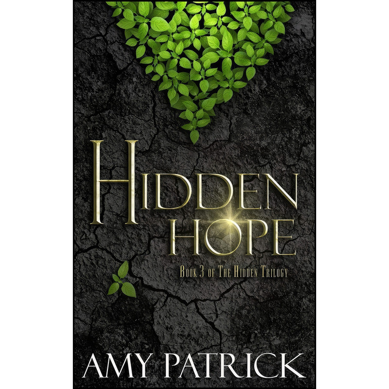 کتاب Hidden Hope اثر Amy Patrick انتشارات تازه ها