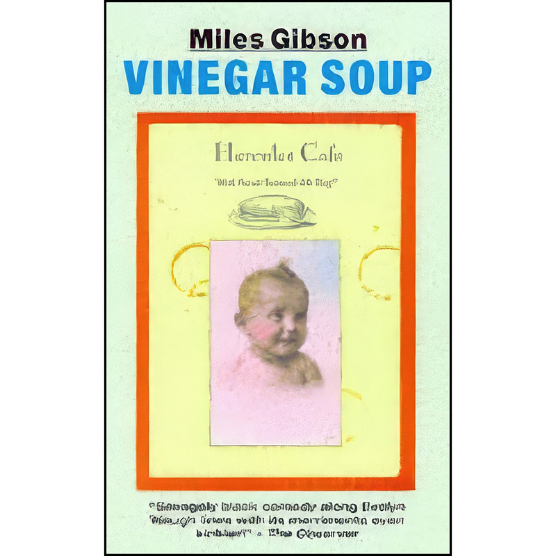 کتاب Vinegar Soup اثر Miles Gibson انتشارات Do Not Pr
