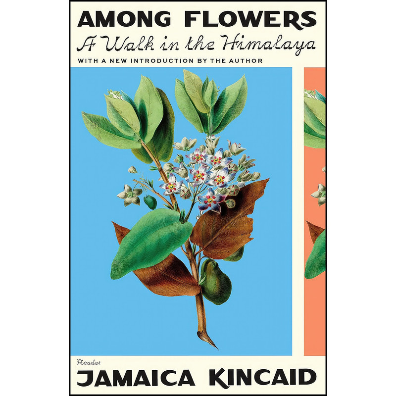 کتاب Among Flowers اثر Jamaica Kincaid انتشارات تازه ها
