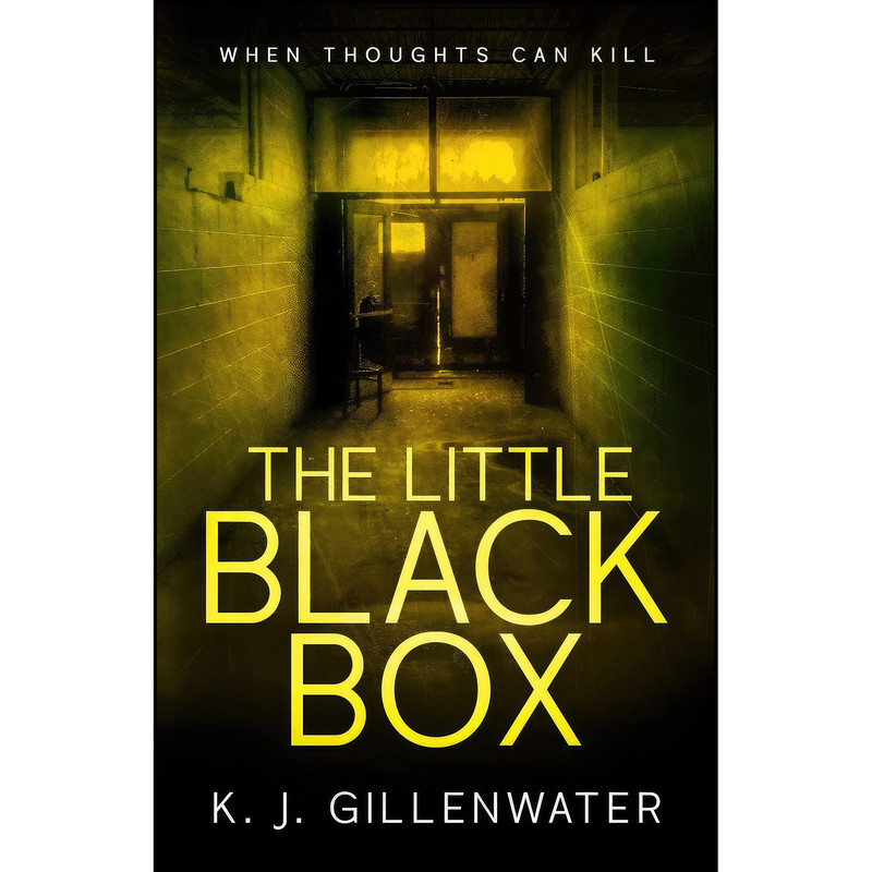 کتاب The Little Black Box اثر K. J. Gillenwater انتشارات Kjb Writing Services, LLC