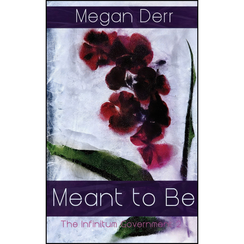 کتاب Meant to Be اثر Megan Derr انتشارات تازه ها