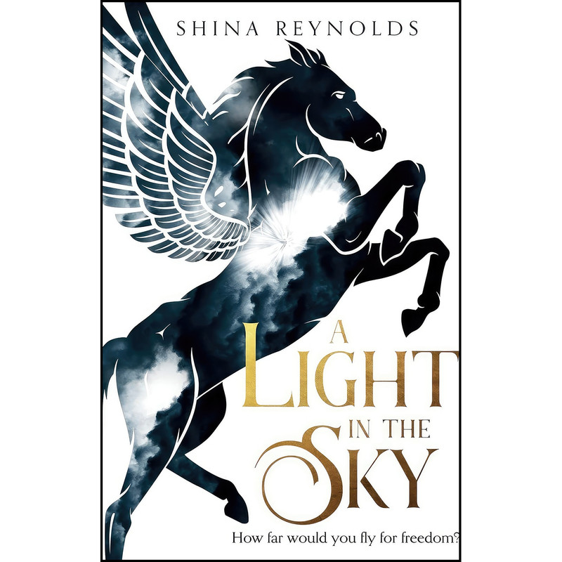 کتاب A Light in the Sky  اثر Shina Reynolds انتشارات Wink Road Press