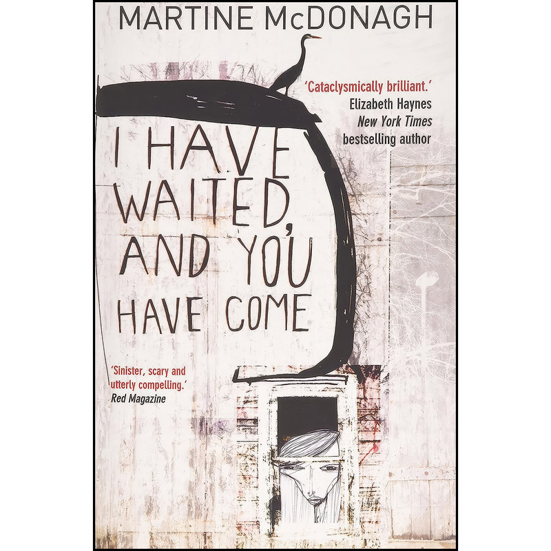 کتاب I Have Waited, and You Have Come اثر Martine McDonagh and John Davison انتشارات TEN TO TEN PUBLISHING