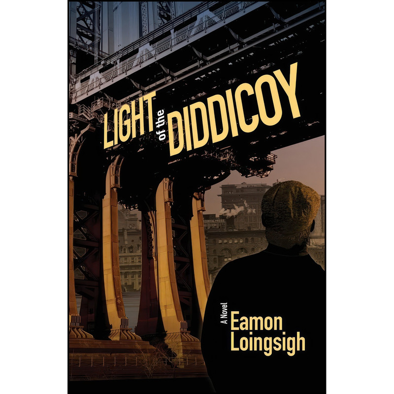 کتاب Light of the Diddicoy اثر Eamon Loingsigh انتشارات Three Rooms Press