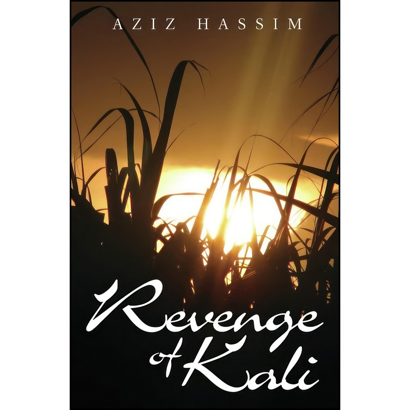 کتاب Revenge of Kali اثر Aziz Hassim انتشارات Real African Publishers