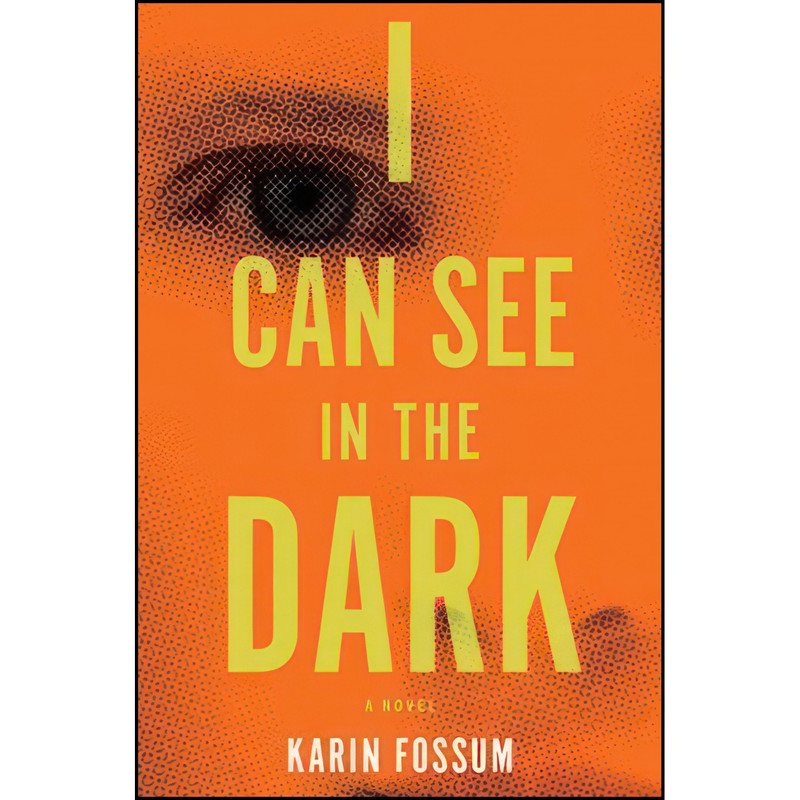 کتاب I Can See in the Dark اثر Karin Fossum انتشارات Houghton Mifflin Harcourt