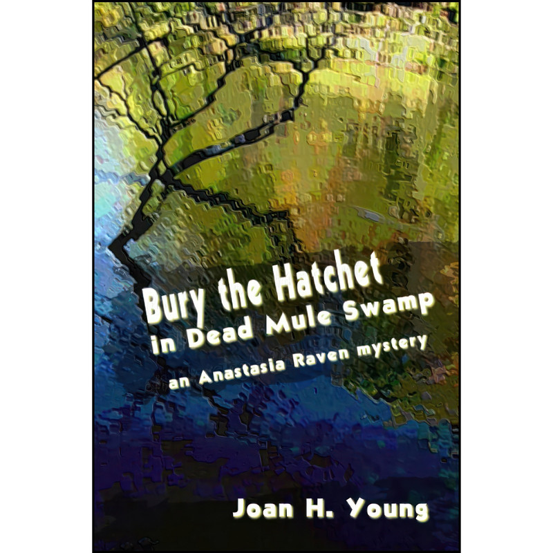 کتاب Bury the Hatchet in Dead Mule Swamp  اثر Joan H. Young انتشارات تازه ها