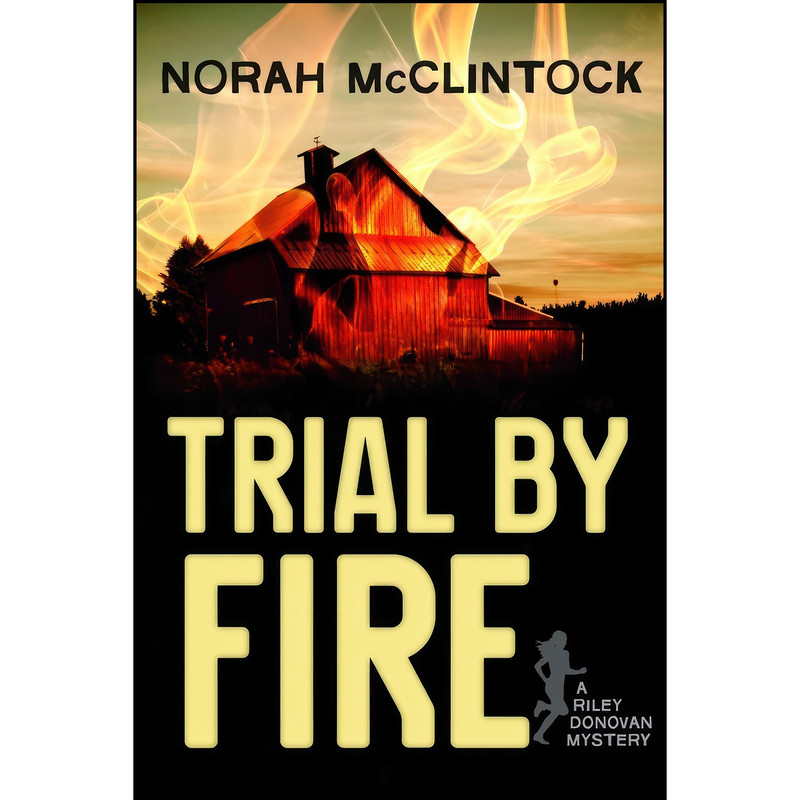 کتاب Trial by Fire  اثر Norah McClintock انتشارات Orca Book Publishers