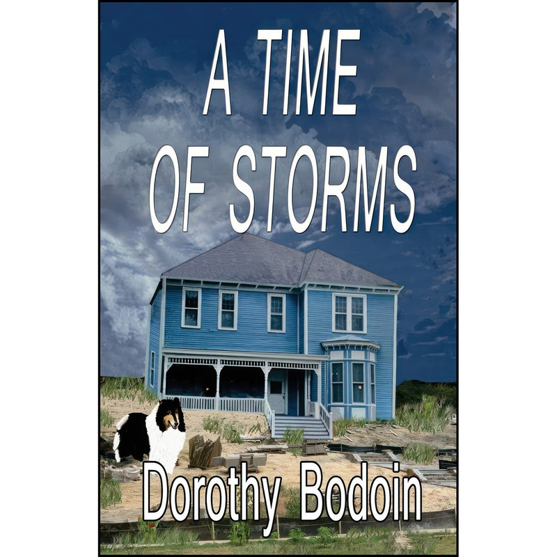کتاب A Time of Storms  اثر Dorothy Bodoin انتشارات تازه ها