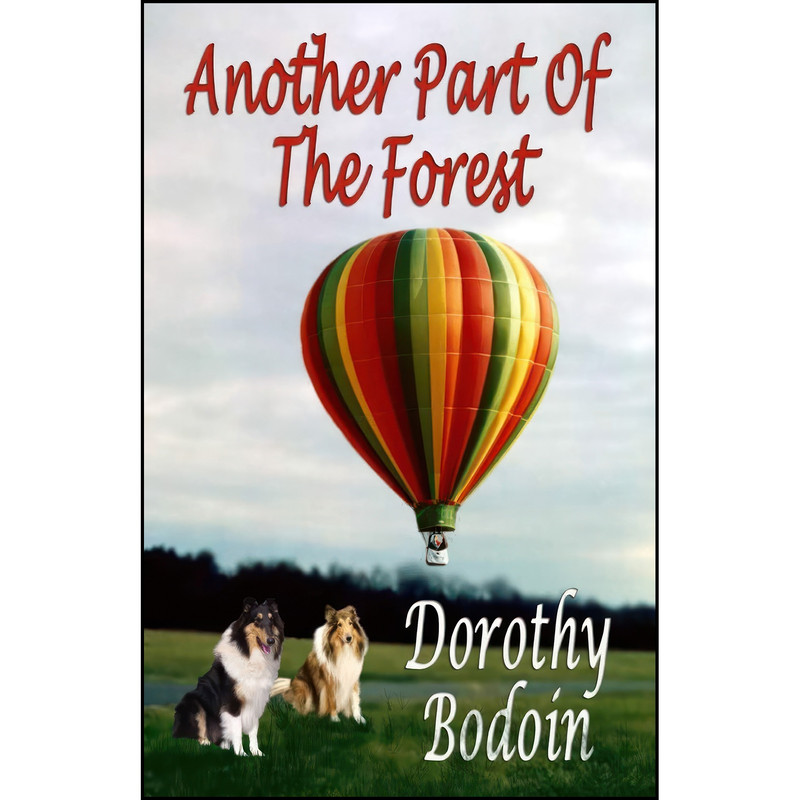 کتاب Another Part Of The Forest  اثر Dorothy Bodoin انتشارات تازه ها