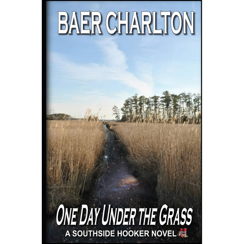 کتاب One Day Under the Grass  اثر جمعي از نويسندگان انتشارات Mordant Media