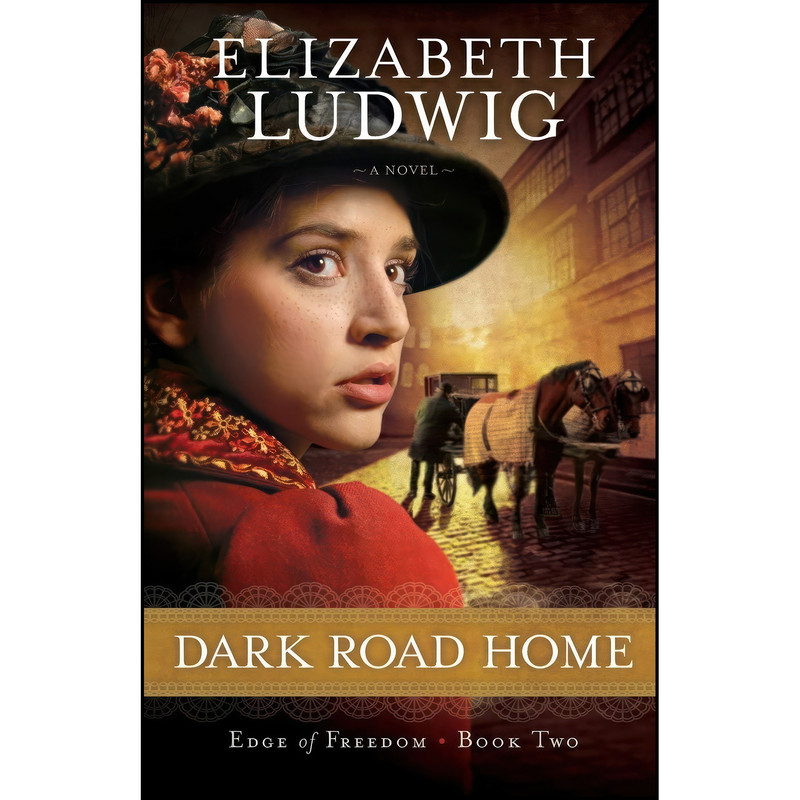 کتاب Dark Road Home  اثر Elizabeth Ludwig انتشارات تازه ها
