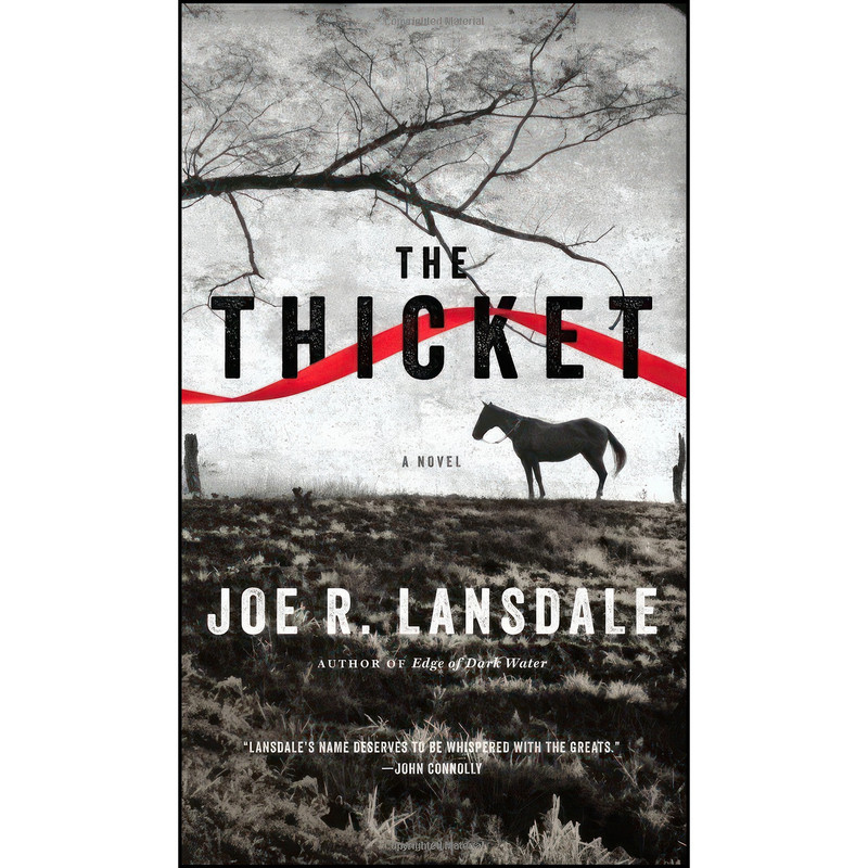 کتاب The Thicket اثر Joe R. Lansdale انتشارات Mulholland Books