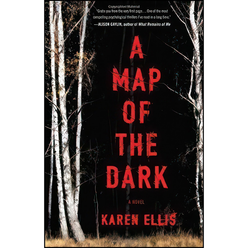 کتاب A Map of the Dark اثر Katia Lief and Karen Ellis انتشارات Mulholland Books