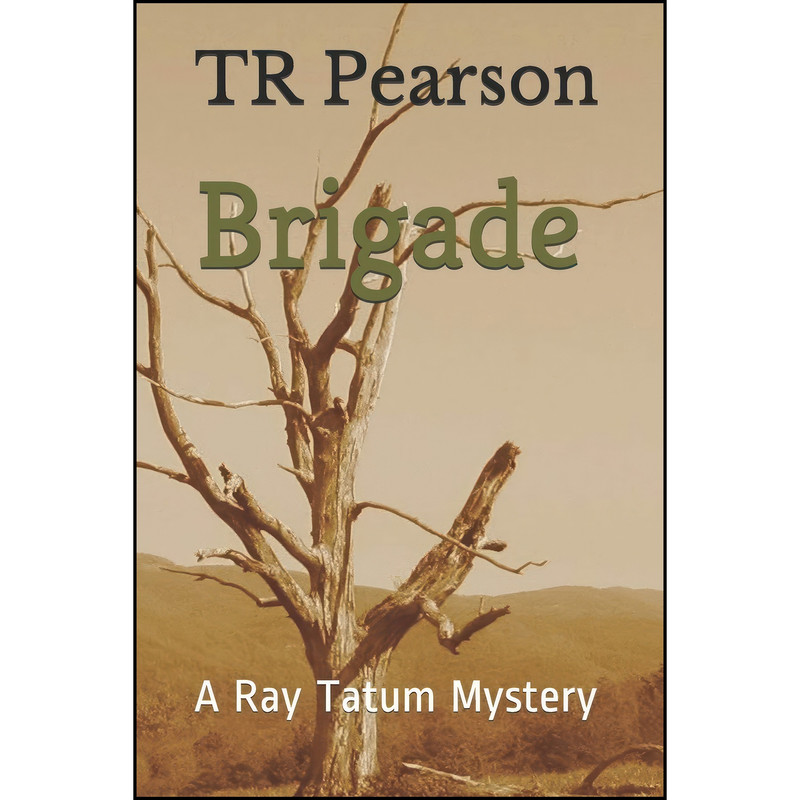 کتاب Brigade  اثر T. R. Pearson انتشارات تازه ها