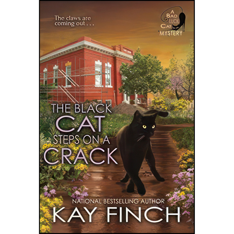 کتاب The Black Cat Steps on a Crack  اثر Kay Finch انتشارات تازه ها