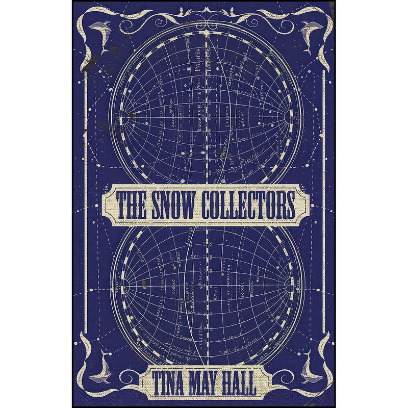 کتاب The Snow Collectors اثر Tina May Hall انتشارات Dzanc Books