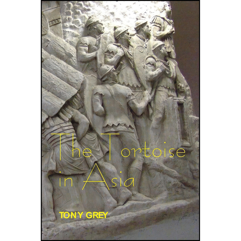 کتاب The Tortoise in Asia اثر Tony Grey انتشارات John Libbey Publishing