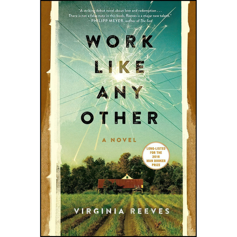 کتاب Work Like Any Other اثر Virginia Reeves انتشارات Scribner
