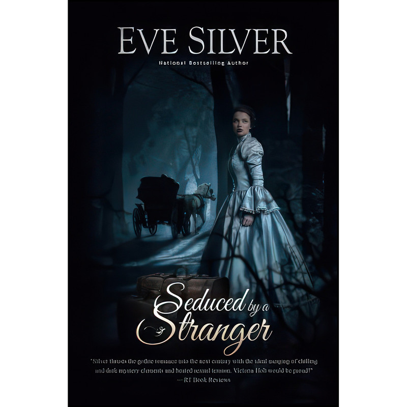 کتاب Seduced by a Stranger  اثر Eve Silver انتشارات تازه ها