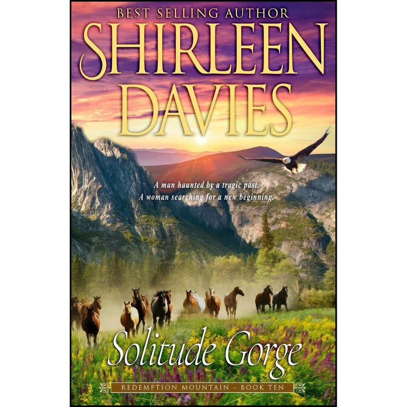 کتاب Solitude Gorge  اثر Shirleen Davies انتشارات تازه ها