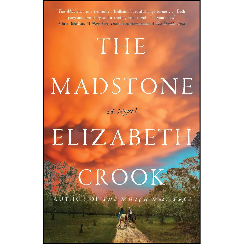 کتاب The Madstone اثر Elizabeth Crook انتشارات Little, Brown and Company
