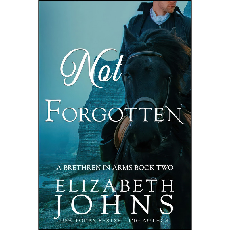 کتاب Not Forgotten  اثر Elizabeth Johns انتشارات تازه ها