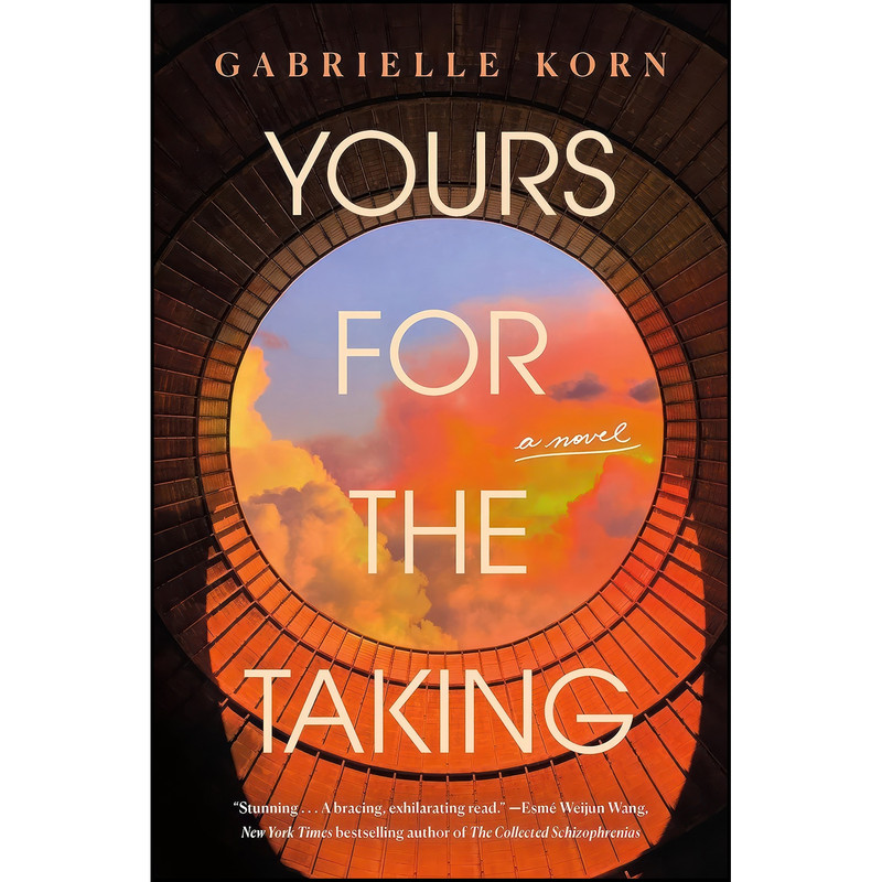 کتاب Yours for the Taking اثر Gabrielle Korn انتشارات St. Martins Press