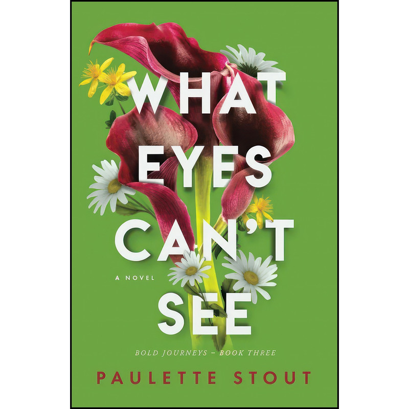 کتاب What Eyes Cant See اثر Paulette Stout انتشارات تازه ها
