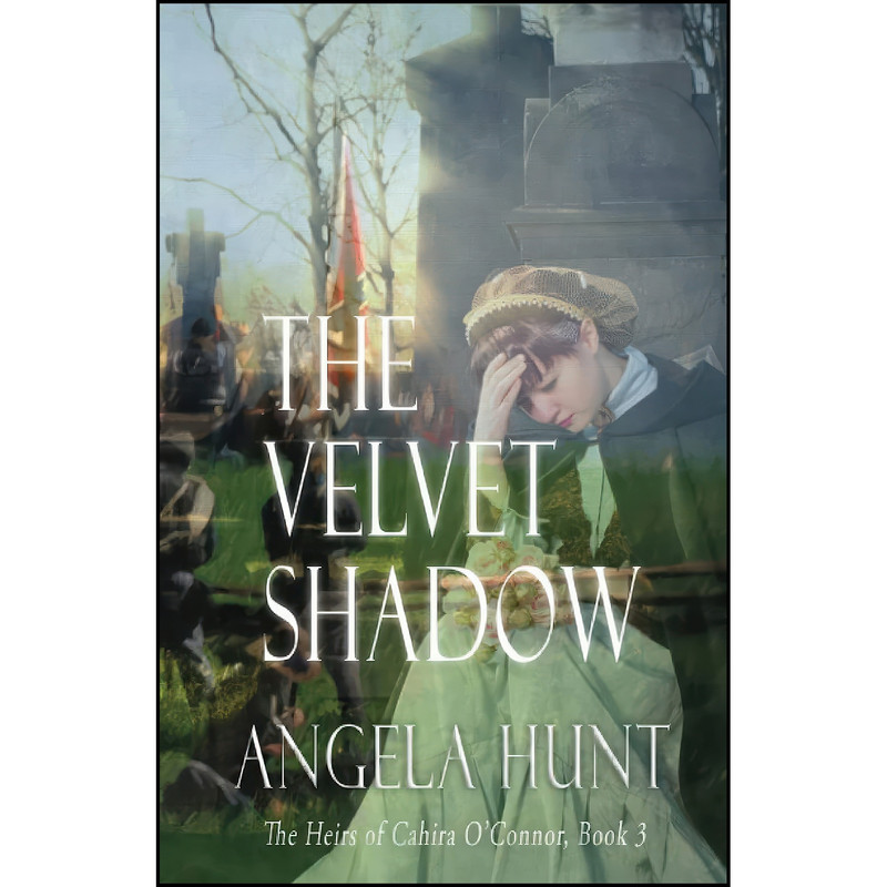 کتاب The Velvet Shadow  اثر Angela Hunt انتشارات تازه ها